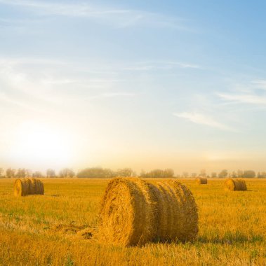Gün batımında hasattan sonra buğday tarlaları arasında saman yığını