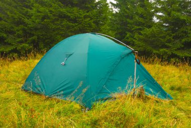 Yeşil turistik çadır köknar ormanı açıklığında, yaz gezisi sahnesinde