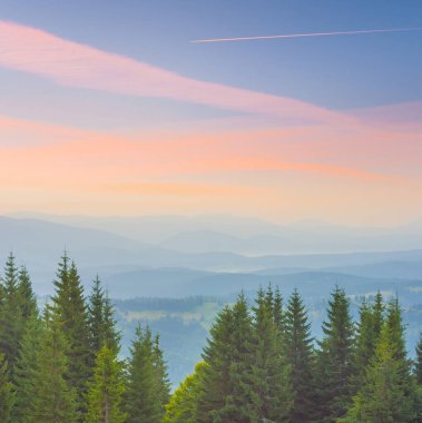 Sabahın erken saatlerinde dağ vadisine kadar köknar ormanlarıyla kaplı yamaçtan manzara