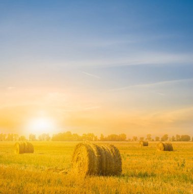 Gün batımında hasattan sonra buğday tarlaları arasında saman yığını