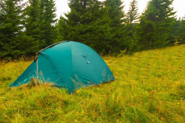 Yeşil turistik çadır köknar ormanı açıklığında, yaz gezisi sahnesinde