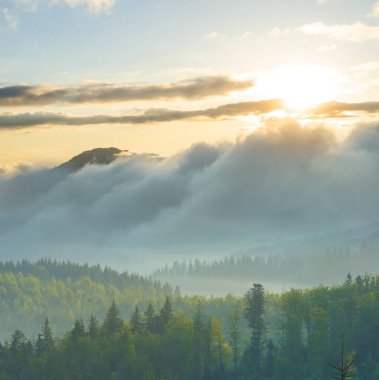 Mavi sisli dağ vadisi ve günbatımında yeşil köknar ormanı olan bulutlar.