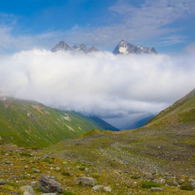 Yoğun sisli yeşil dağ vadisi ve mavi bulutlu gökyüzünün altındaki bulutlar