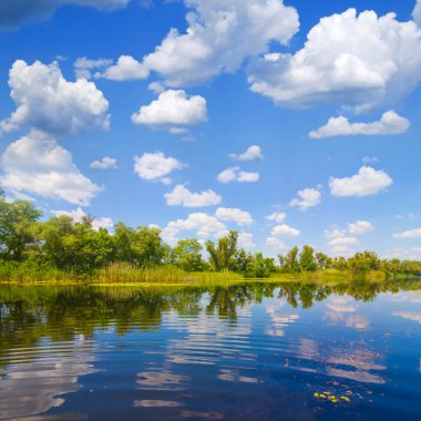Sakin bir nehir, kumsalda ormanlar, mavi bulutlu bir gökyüzünün altında.