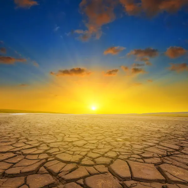 Kuru toprak akşam güneşinin ışığında çatladı.