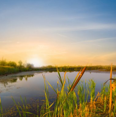 Gün batımında sazlıklarla kaplı küçük sakin göl