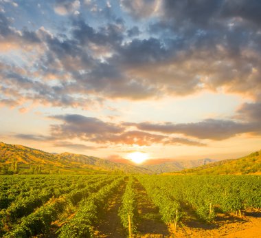 Yaz bağları Dağ Vadisi 'nde gün batımında