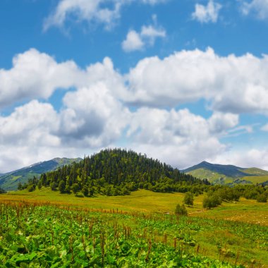 Güzel yeşil dağ vadisi Mavi bulutlu gökyüzünün altında