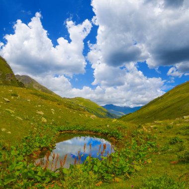 Yeşil yaz vadisinde küçük mavi bir göl
