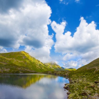 Yeşil yaz vadisinde küçük mavi bir göl
