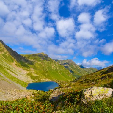 Yeşil yaz vadisinde küçük mavi bir göl