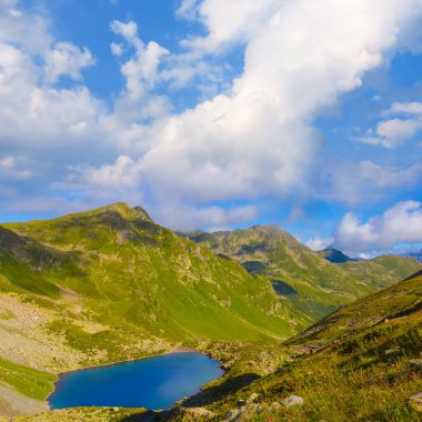 Yeşil yaz vadisinde küçük mavi bir göl
