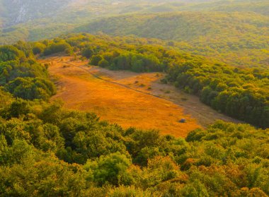 Yukarıdan dağ ormanına bak. 