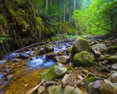 Küçük bir dağ deresi taşların üzerinden kanyon boyunca akıyor.