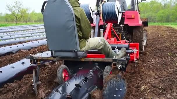 フィールドにプラスチック マルチ フィルムを置くトラクター機械 マルチフィルムで覆われた地面にイチゴのローズ マルチング法によるベリーや野菜の栽培 — ストック動画