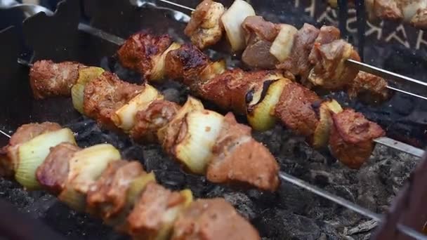 Shish Kebab Barbecue Marinated Shashlik Preparing Metal Skewers Charcoal Cooking — Stock Video