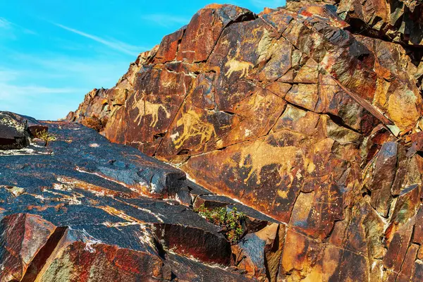 Kazakistan, Taraz, Zhambyl bölgesindeki Karasay vadisindeki kayalıklarda antik mağara resimleri. Petroglyphs Bronz Çağı ve Demir Çağı kaya sanatı