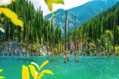 Kaindy Gölü Kungey Alatau Dağları 'nda yer alır ve kuzey Tien Shan' ın bir parçasıdır. Kaindy Gölü Kazakistan 'ın güneyinde, Kolsay Lakes Ulusal Parkı' nda yer almaktadır.