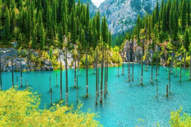 Kaindy Gölü Kungey Alatau Dağları 'nda yer alır ve kuzey Tien Shan' ın bir parçasıdır. Kaindy Gölü Kazakistan 'ın güneyinde, Kolsay Lakes Ulusal Parkı' nda yer almaktadır.