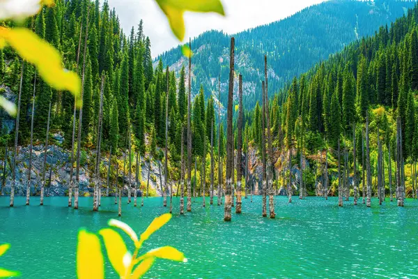 Kaindy Gölü Kungey Alatau Dağları 'nda yer alır ve kuzey Tien Shan' ın bir parçasıdır. Kaindy Gölü Kazakistan 'ın güneyinde, Kolsay Lakes Ulusal Parkı' nda yer almaktadır.