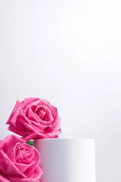 Рожеві Троянди Білий Макет Єдесталу Вітальна Листівка День Святого Валентина — стокове фото