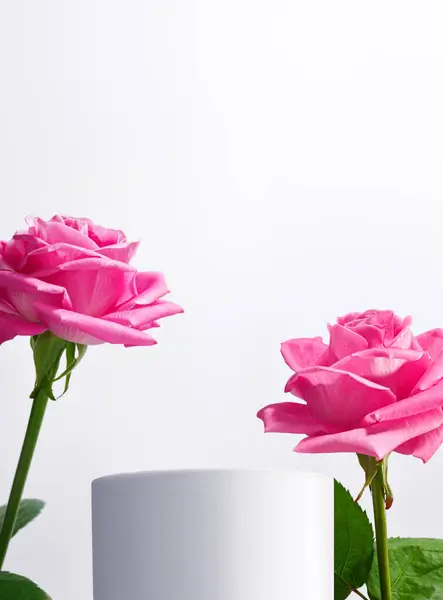 Pembe güller ve beyaz kaide modeli, Aziz Sevgililer Günü için tebrik kartı, mutlu yıllar, yıldönümü