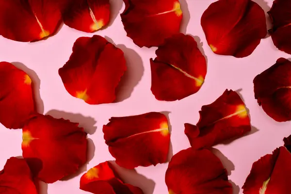 Pembe arka planda kırmızı gül yaprakları