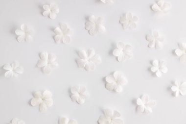 Beyaz arkaplanda beyaz çiçek deseni, tebrik kartı tasarımı