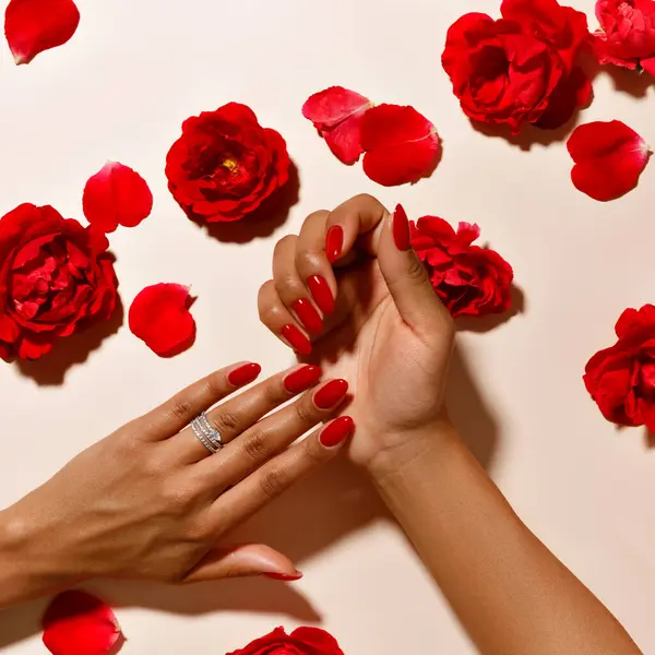 hands with red rose petals, hands with red manicure