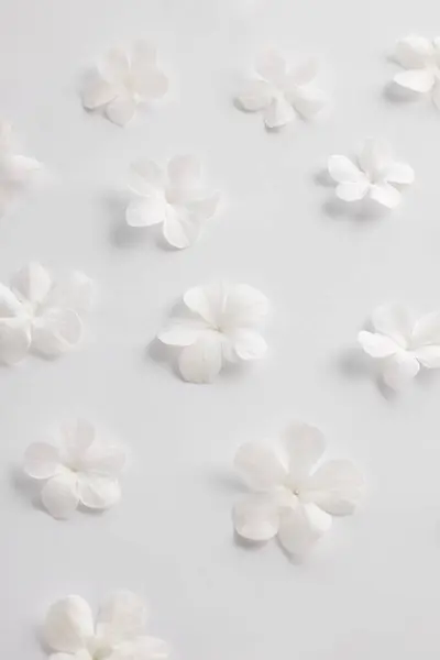 Beyaz arkaplanda beyaz çiçek deseni, tebrik kartı tasarımı