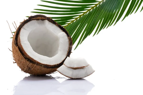 Stock image Coconut with leaves on white background