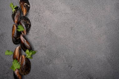 Raw mussels on the vintage background