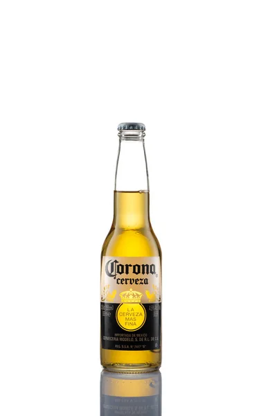 Bottle Beer White Background — Stock Photo, Image