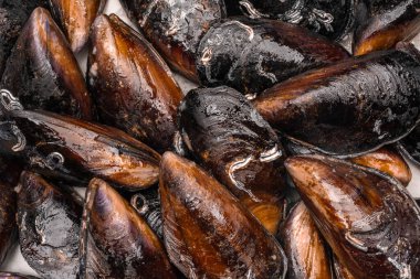 Raw mussels on the vintage background