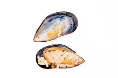 Fresh mussels on the white background