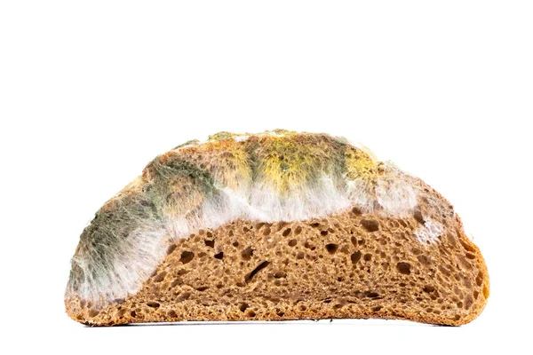 Плесень Хлеб Белом Фоне — стоковое фото