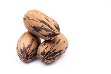 Beyaz arka planda izole edilmiş fındık