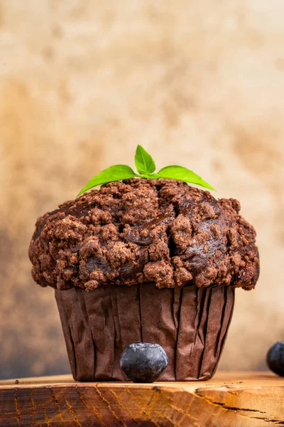 Delicious Cocoa Blueberry Muffins — Stock Photo, Image