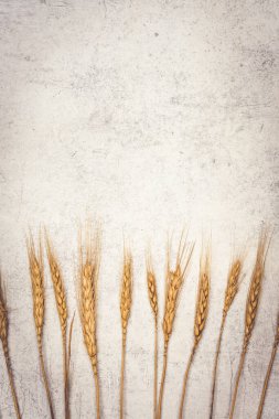 Eski arkaplanda buğday sıçraması