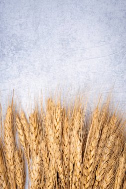 Eski arkaplanda buğday sıçraması