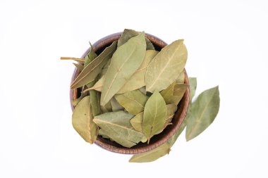 Beyaz arkaplanda defne yaprağı