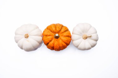 Beyaz arka planda mini şükran günü balkabakları