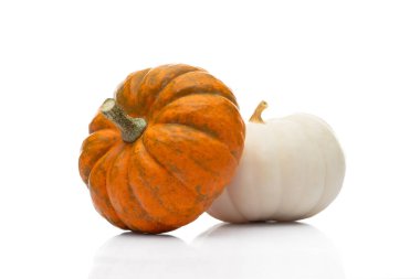 Beyaz arka plan üzerinde Mini kabaklar