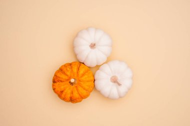 Turuncu arka planda mini balkabakları