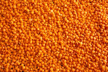 Pişmemiş kırmızı mercimek. Kırmızı mercimek arka planı