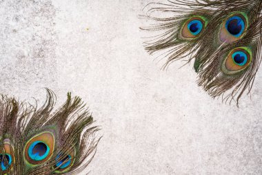 Vintage Stone arka planında Tavuskuşu tüyleri