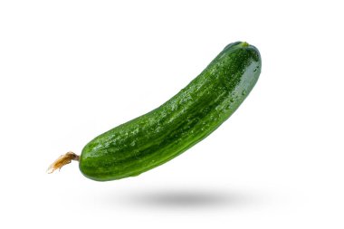 Beyaz arka planda taze ve lezzetli salatalık.