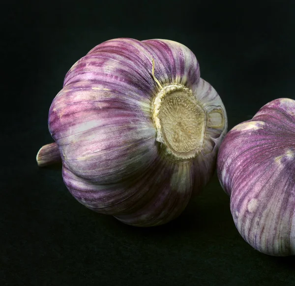 Stock image Traditional spices. Garlic, thyme and pepper mixture. close up