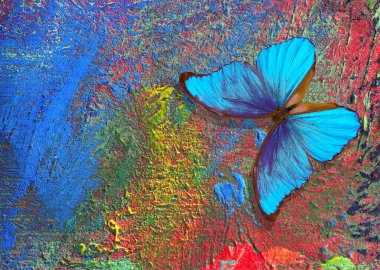 Sanatçı paletinde mavi tropikal morpho kelebeği. Bir palette yağlı boya ile fırça darbeleri