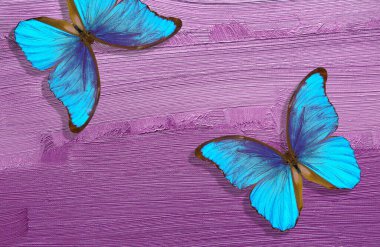 Yağlı boya darbelerinin arka planında mavi morpho kelebekleri                      
